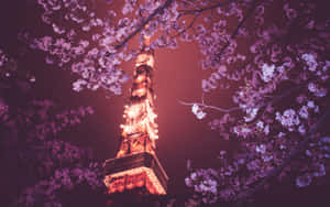 Witness The Beauty Of A Night Cherry Blossom Illuminated By The Stars. Wallpaper