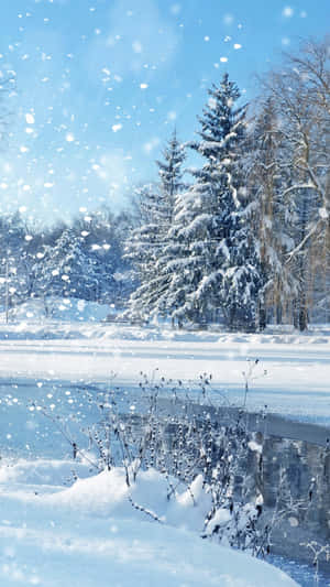 Witness The Breathtaking Beauty Of Winter Wallpaper