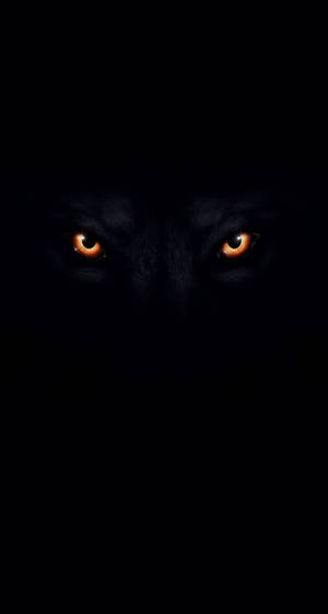 Wolf Eyes In Color Black Background Wallpaper