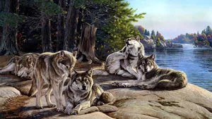 Wolf Pack By Lake Wallpaper