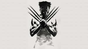 Wolverine Line Brush Art Hd Wallpaper