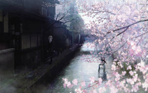 Woman And Cherry Blossoms Anime Pc Wallpaper