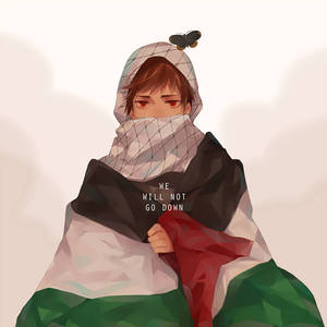 Woman Covered In Palestine Flag Wallpaper