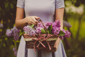 Woman Holding Flower Basket Wallpaper