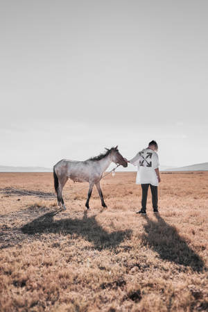 Woman In White Long Sleeve Shirt And Brown Pants Standing Beside White Horse During Daytime Wallpaper