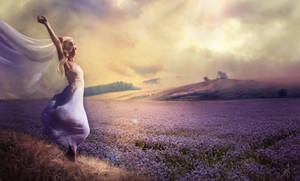 Woman Lavender Field Fantasy Art Wallpaper