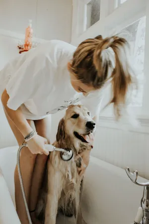 Woman Showering Pet Dog Wallpaper