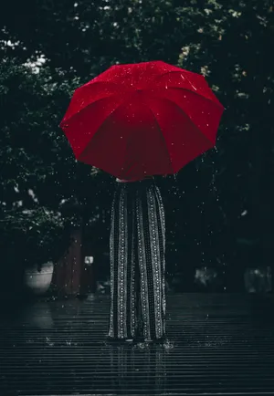 Umbrellas Photos, Download The BEST Free Umbrellas Stock Photos & HD Images