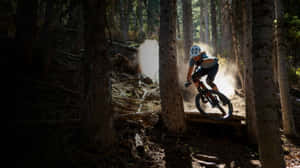 Woman With Specialized Mountain Bike In The Wood Wallpaper