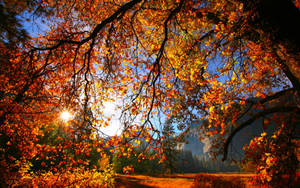 Wonderful Autumn Season Wallpaper