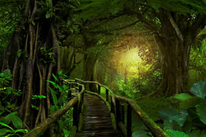 Wooden Bridge Forest Background Wallpaper