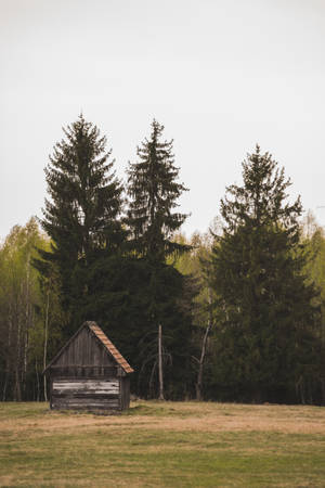 Wooden Cabin On Meadow