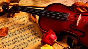 Wooden Chordophone Violin Instrument Music Sheet And Rose Wallpaper