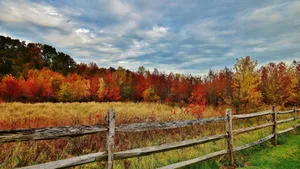 Wooden Fence Best Autumn Wallpaper