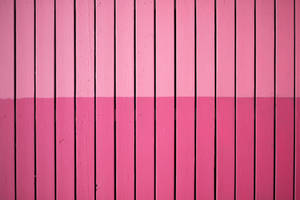 Wooden Pink Color Wall Wallpaper