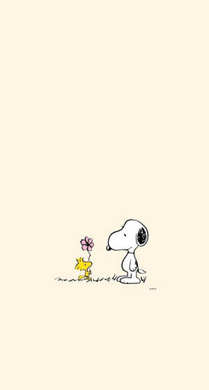 Woodstock Giving Snoopy Flower Wallpaper
