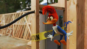 Woody Woodpecker 1280 X 719 Wallpaper