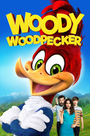 Woody Woodpecker 2017 Cast - Hd Wallpaper & Background Wallpaper