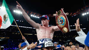 World Champion Boxer Canelo Alvarez Wallpaper