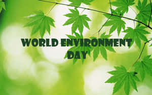 World Environment Day Green Maple Leaves Wallpaper
