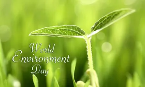 World Environment Day Sprouting Plant Leaves Wallpaper