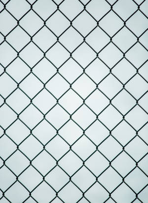 Woven Wire Fence Pattern Wallpaper