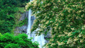 Wulai Waterfalls Taiwan Wallpaper
