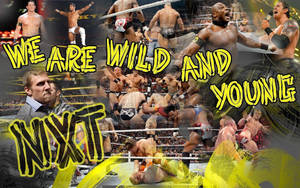 Wwe Nxt Wild And Young Wallpaper