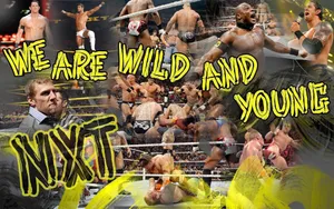 Wwe Nxt Wild And Young Wallpaper