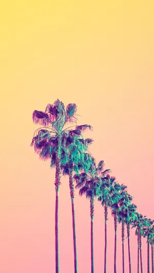 Yellow Aesthetic Phone Palm Trees Wallpaper
