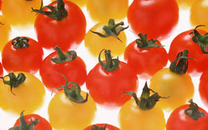 Yellow And Red Tomato Fruits Wallpaper