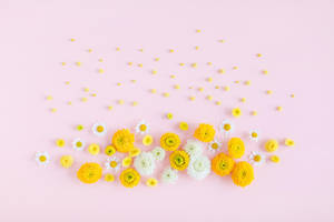 Yellow And White Flowers Cute Tablet Wallpaper