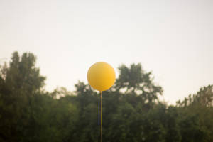 Yellow Balloon Floating Over Trees Wallpaper