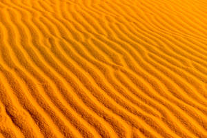 Yellow Desert Sand Dunes Wallpaper