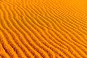 Yellow Desert Sand Dunes Wallpaper