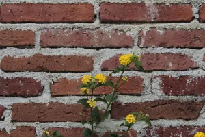 Yellow Flower Brick Wall Wallpaper