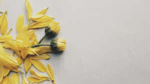 Yellow Flowers On A Gray Surface Wallpaper