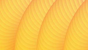 Yellow Hd Abstract Spiral Pattern Wallpaper