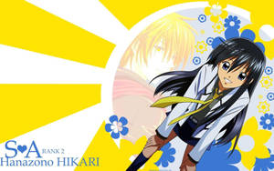 Yellow Hikari Hanazono Special A Wallpaper
