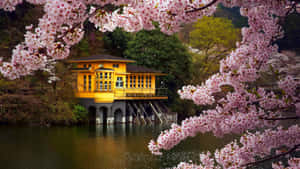 Yellow House Cute Spring Desktop Wallpaper