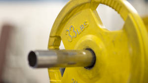 Yellow Plate On Barbell Wallpaper