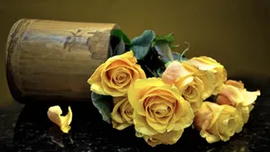 Yellow Rose Flower Wallpaper