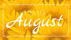 Yellow Sunflower Hello August Wallpaper