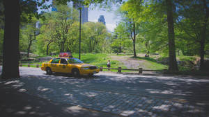 Yellow Taxi In A Serene Park Wallpaper