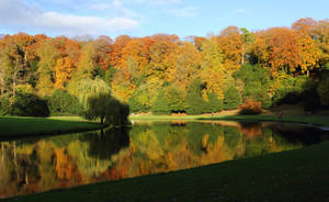 Yorkshire Royal Water Garden Wallpaper