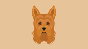Yorkshire Terrier's Head Digital Art Wallpaper