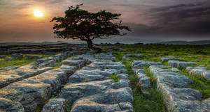 Yorkshire Winskill Stones Wallpaper