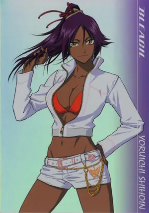 Download Yoruichi Shihōin Comes Alive Onscreen. Wallpaper | Wallpapers.com