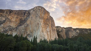 Yosemite Mountain National Park Wallpaper