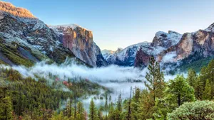 Yosemite National Park Fog Wallpaper